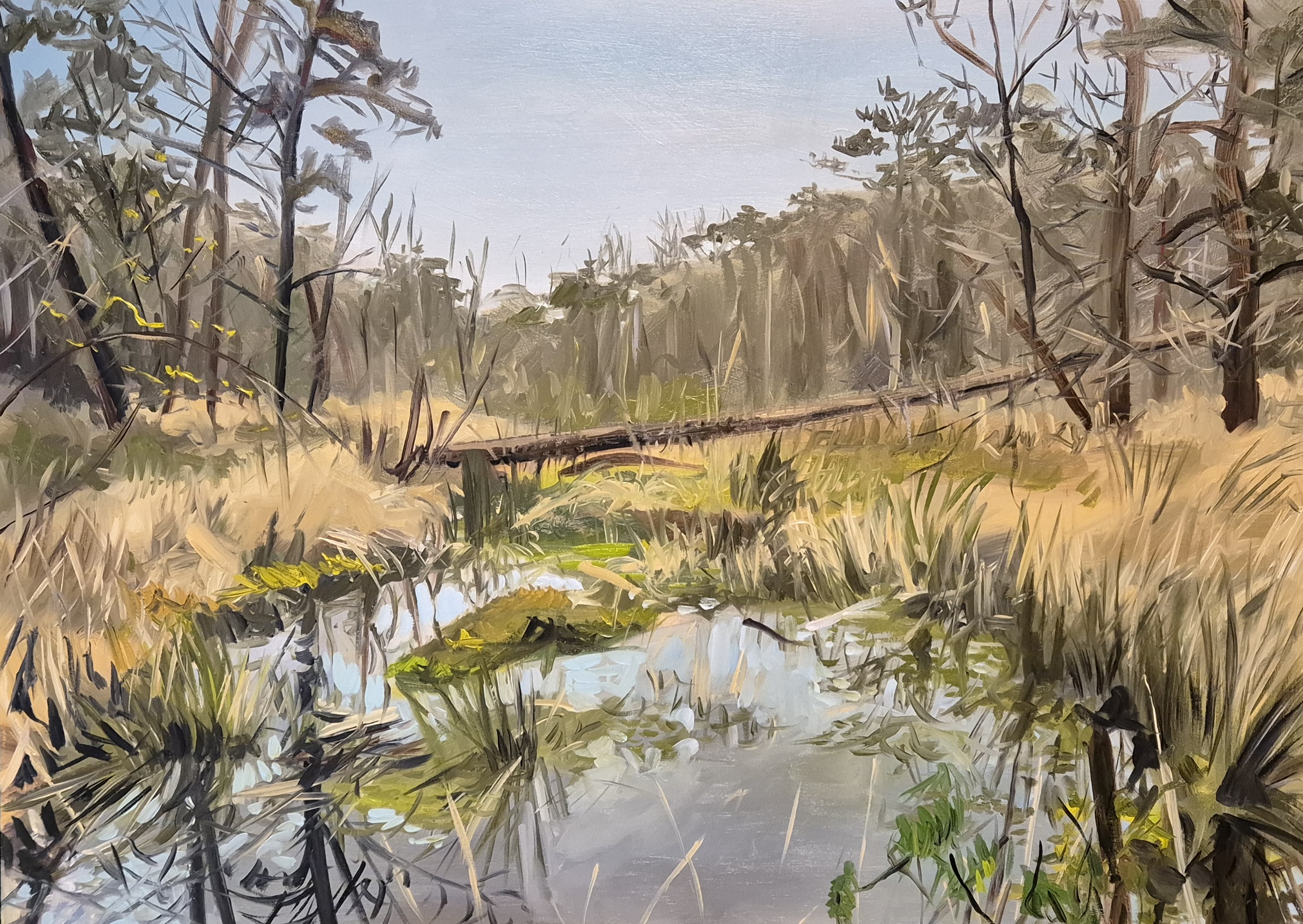 Mensingebos Drenthe olieverf schilderij Rachel Climo