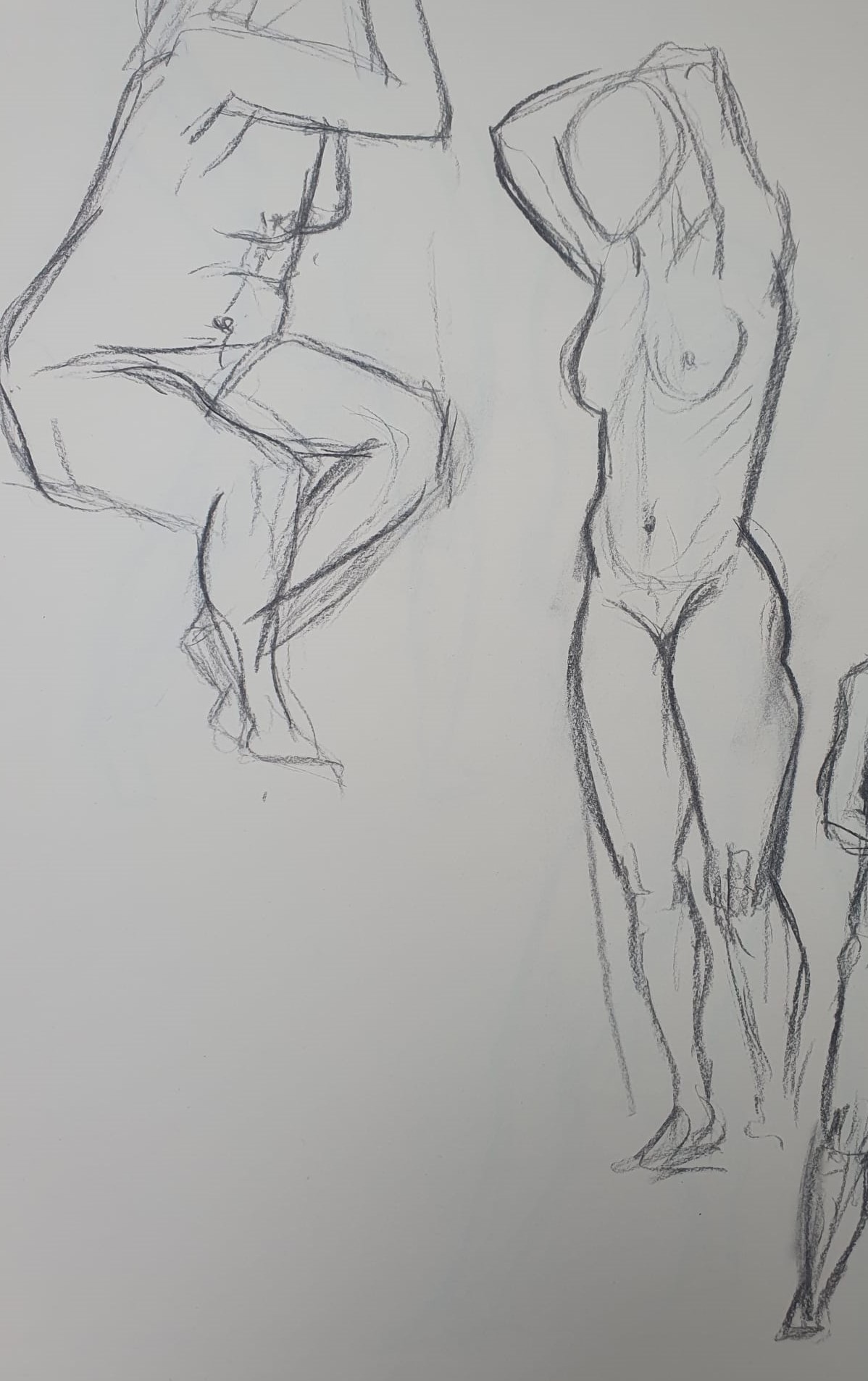 Modeltekening modeldrawing Rachel Climo houtskool op papier