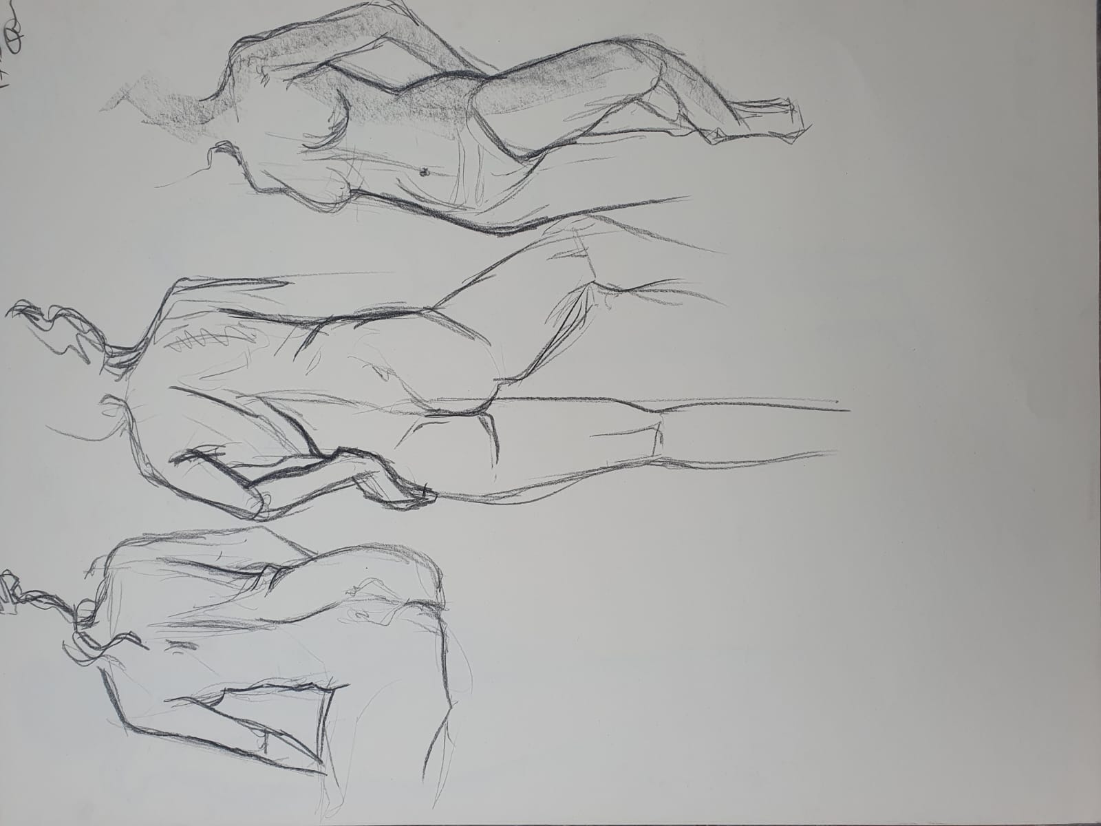 Modeldrawing charcoal on paper