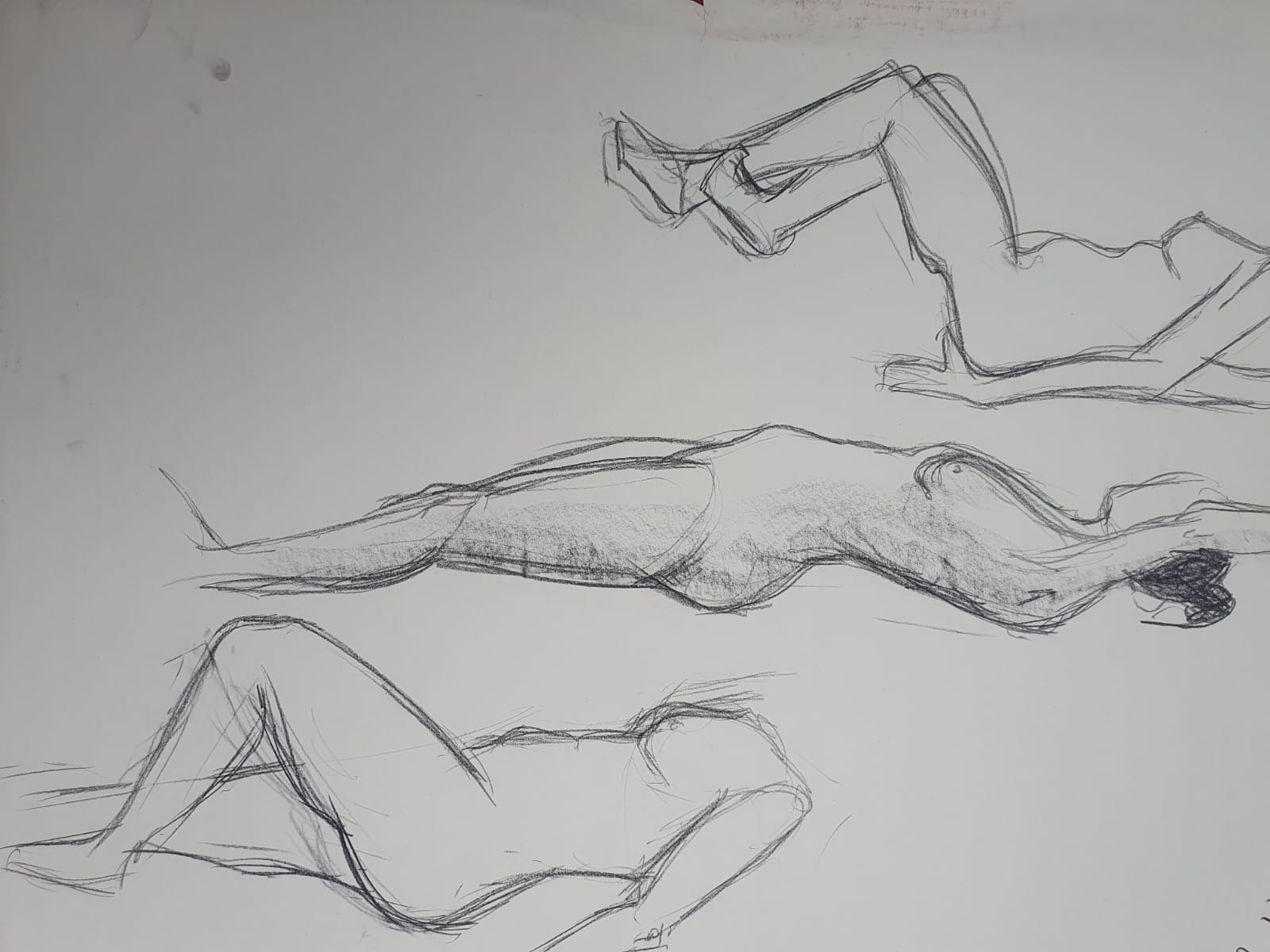 Modeldrawing charcoal on paper