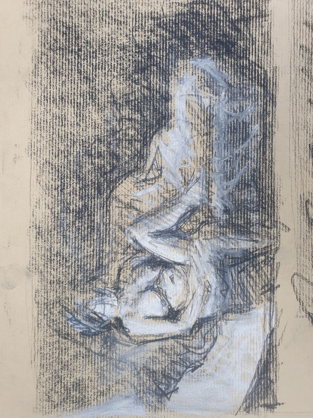 Modeldrawing zwart en wit contékrijt op getoond papier Rachel climo modeltekening