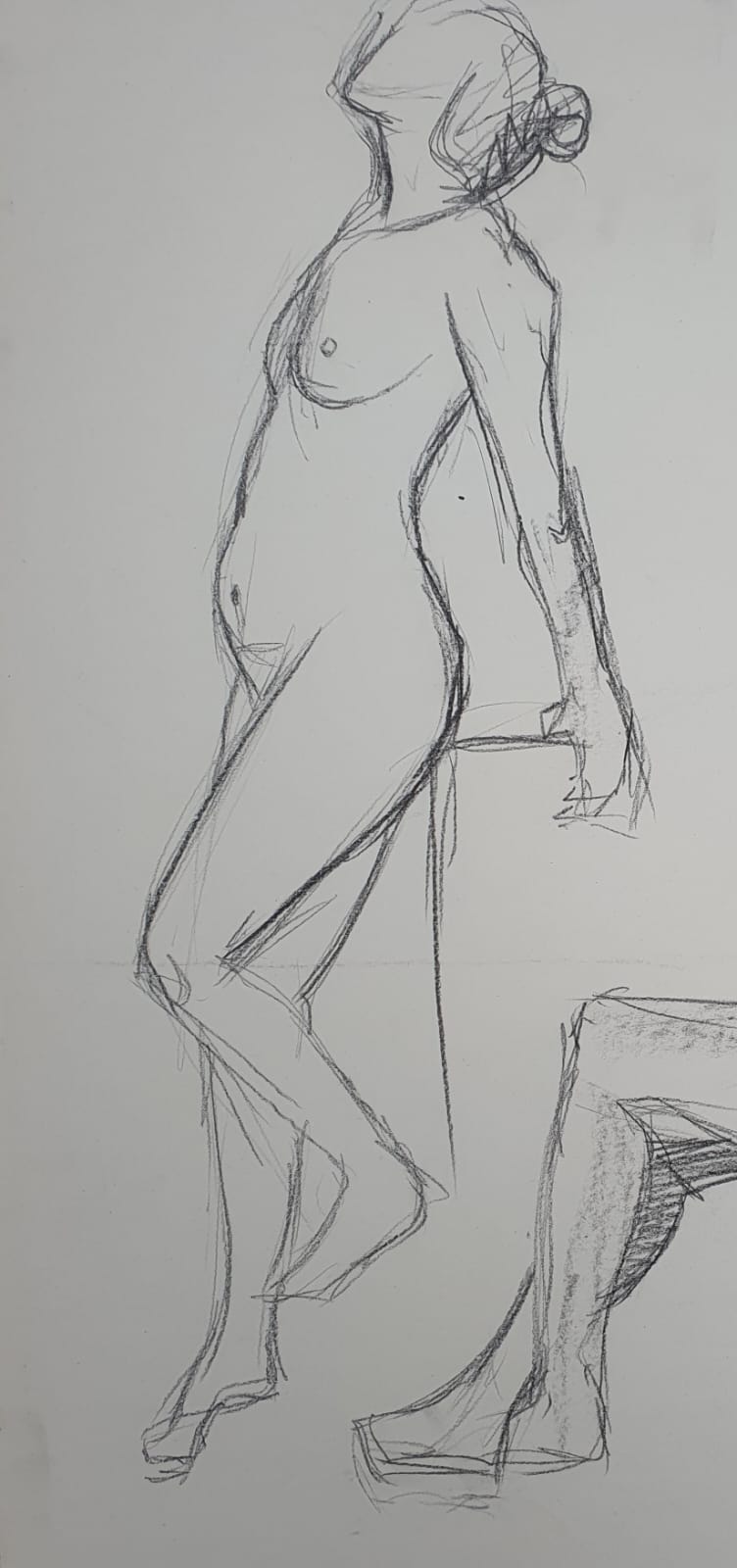 Modeldrawing charcoal on paper