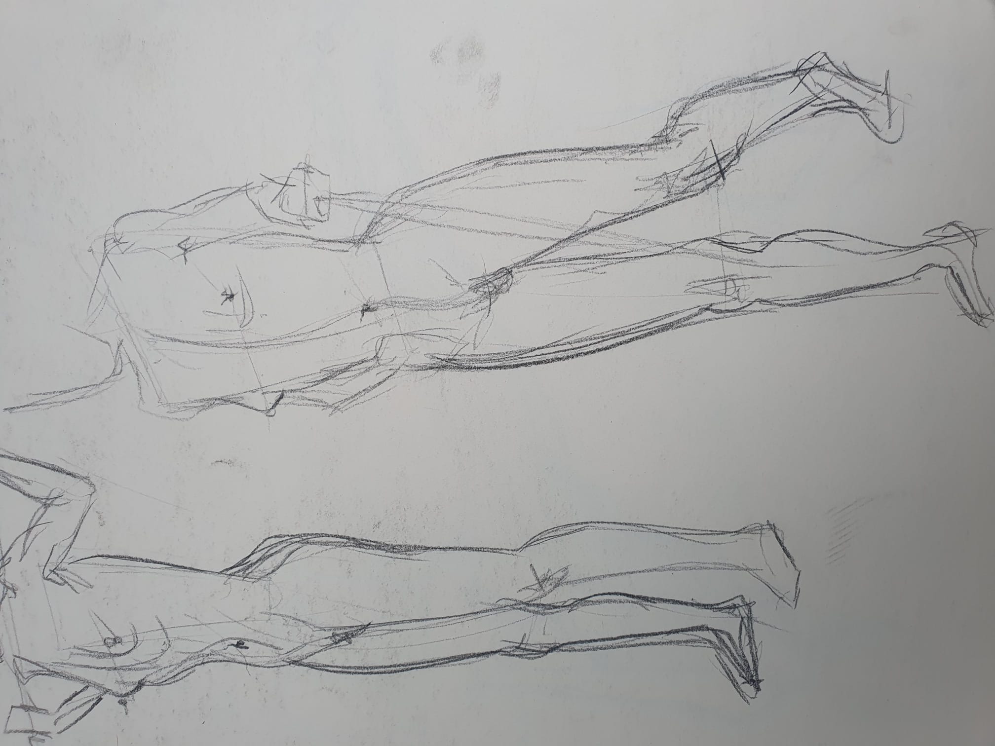 Modeldrawing charcoal on paper