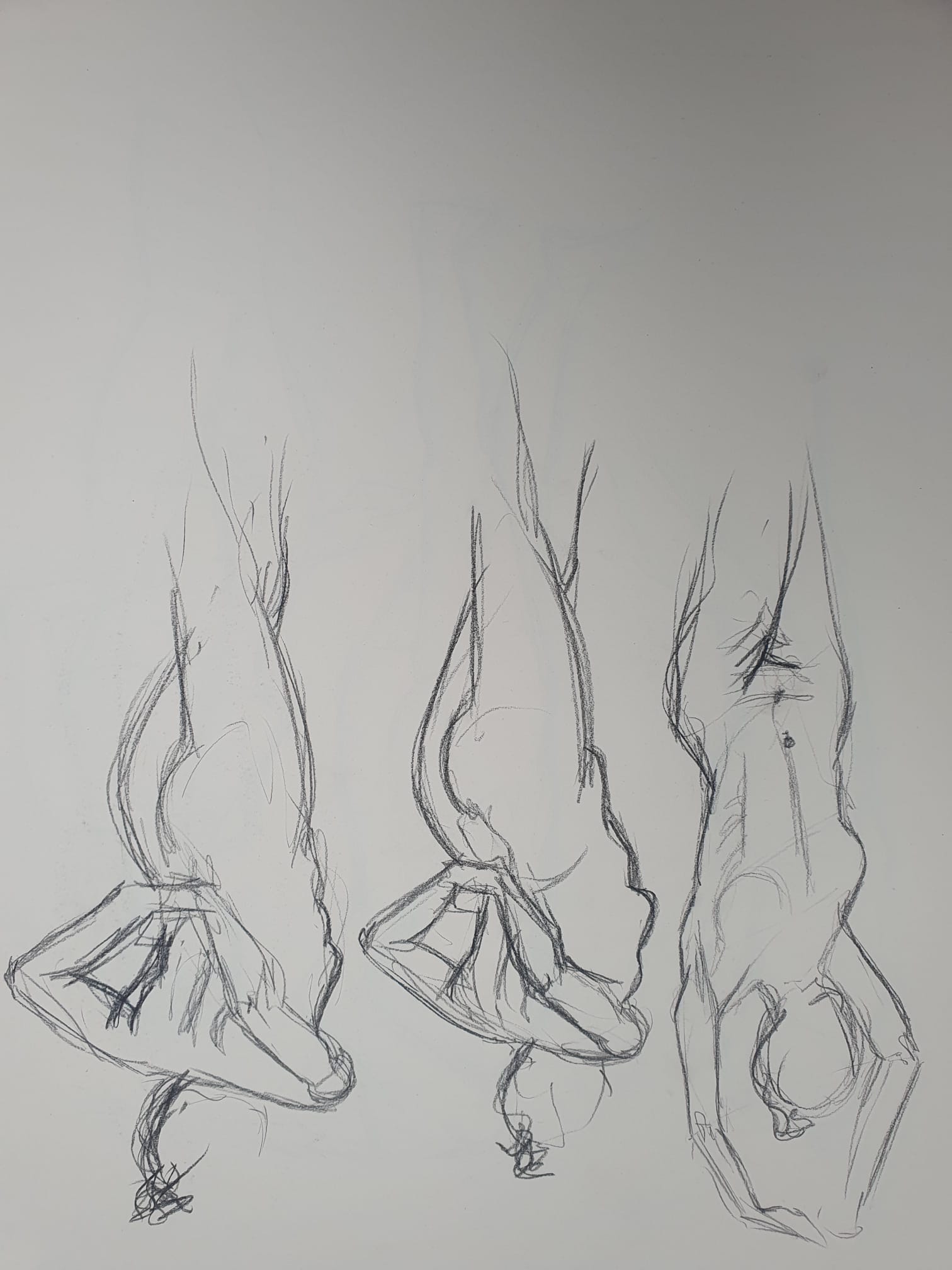 Modeldrawing charcoal on paper