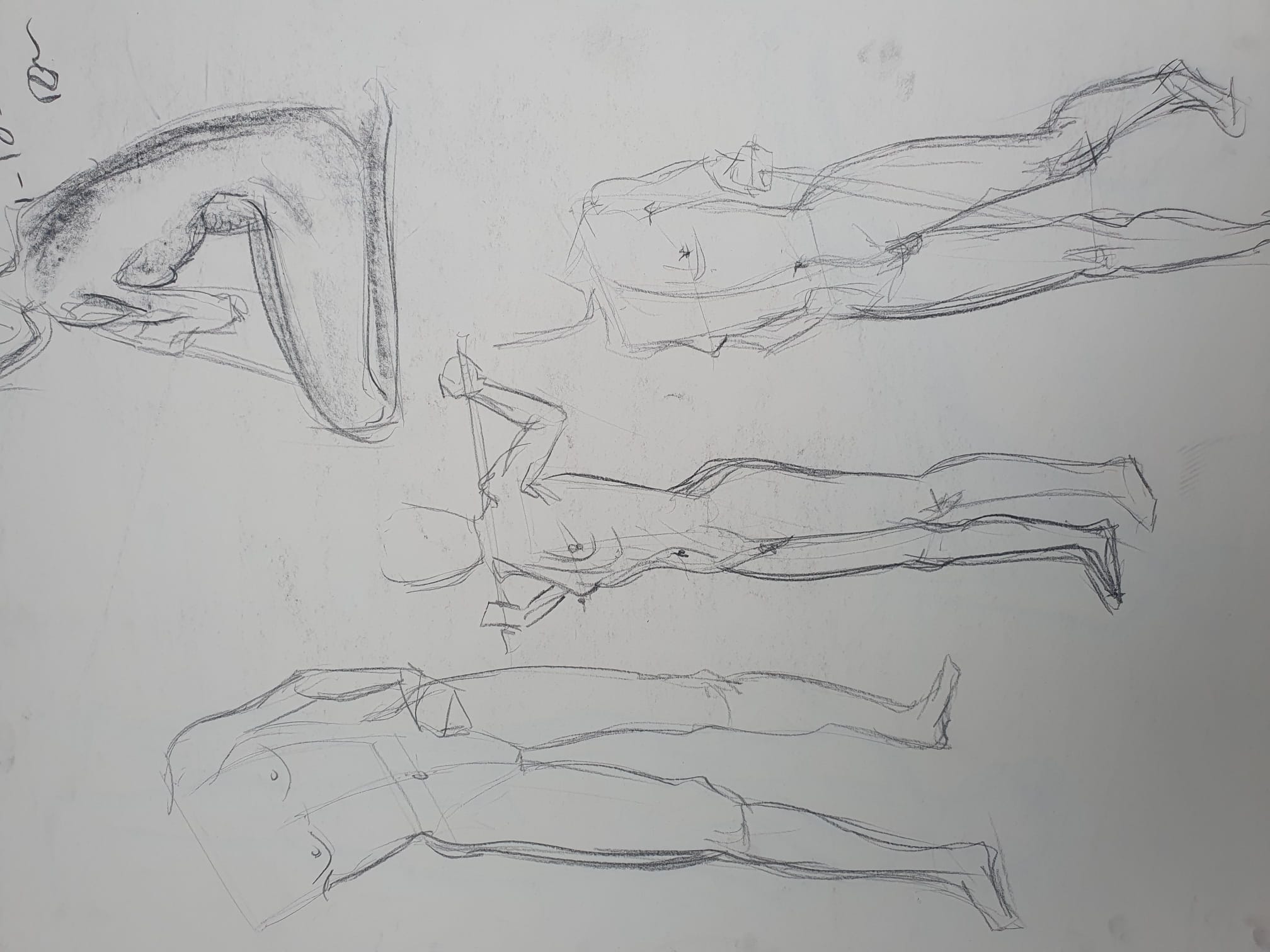 Modeldrawing charcoal on paper