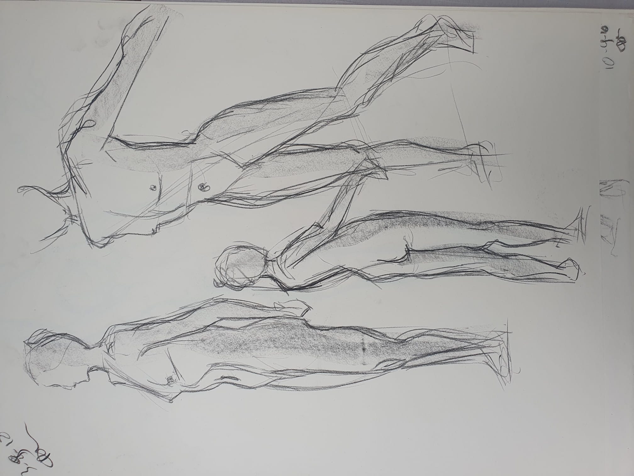 Modeldrawing charcoal on paper