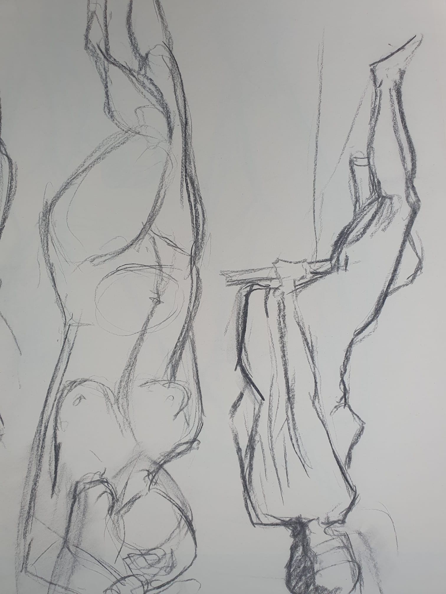 Modeldrawing charcoal on paper