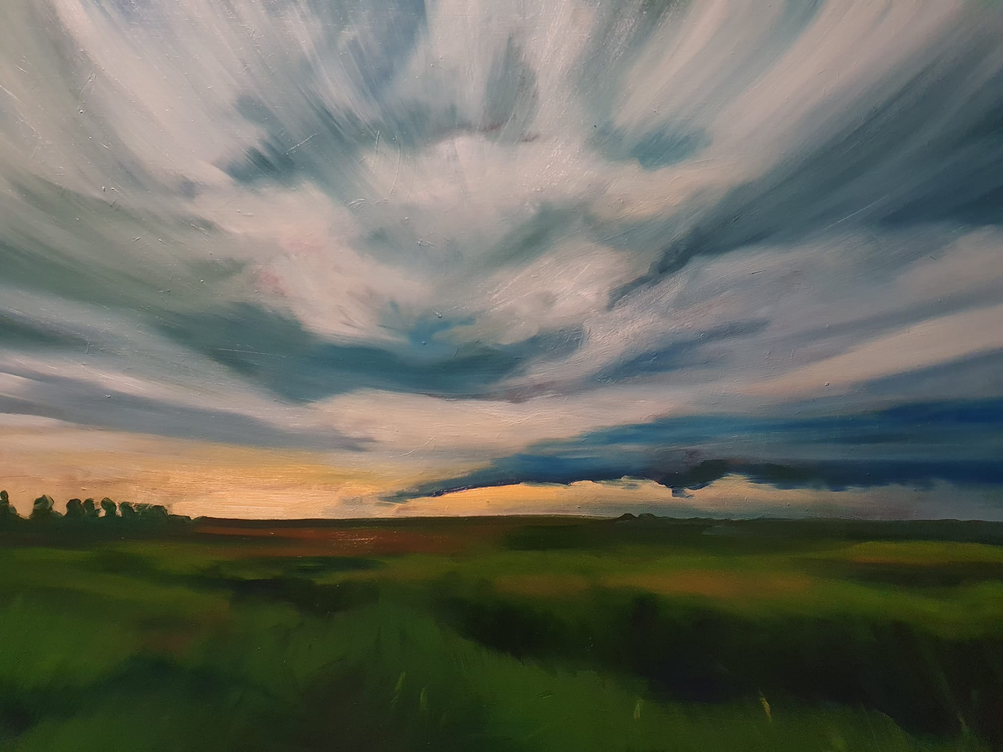Stormy sky unlands drenthe Rachel Climo olieverf oilpaint nature landscape landschap