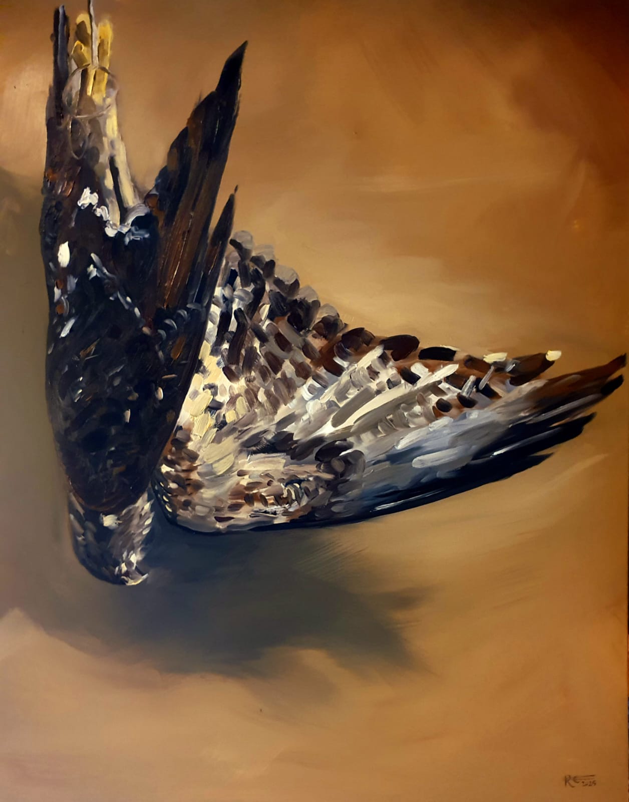 buizerd olieverf schilderij rachel climo oilpaint buzzard bos