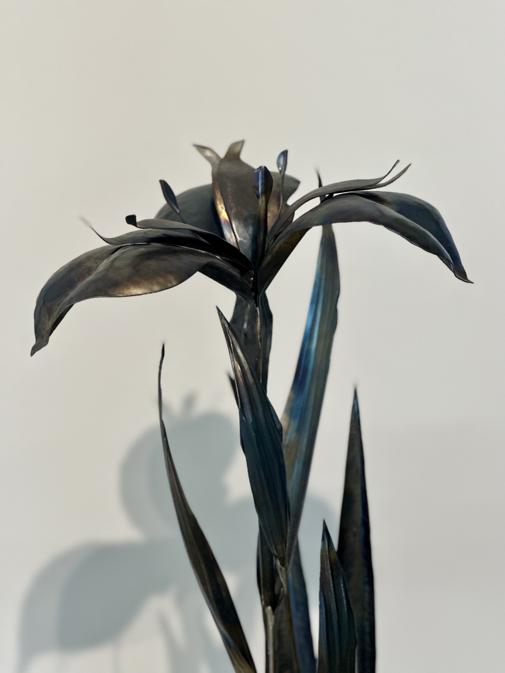 Gele lis /iris pseaudacorus made out of 1mm sheet metal by female artist rachel climo gallery bonnard