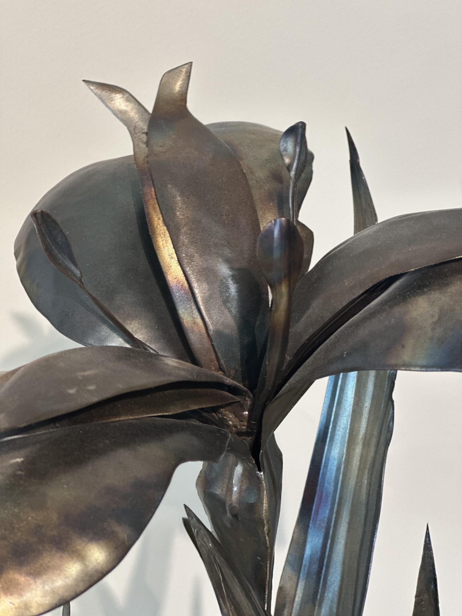 Gele lis /iris pseaudacorus made out of 1mm sheet metal by female artist rachel climo