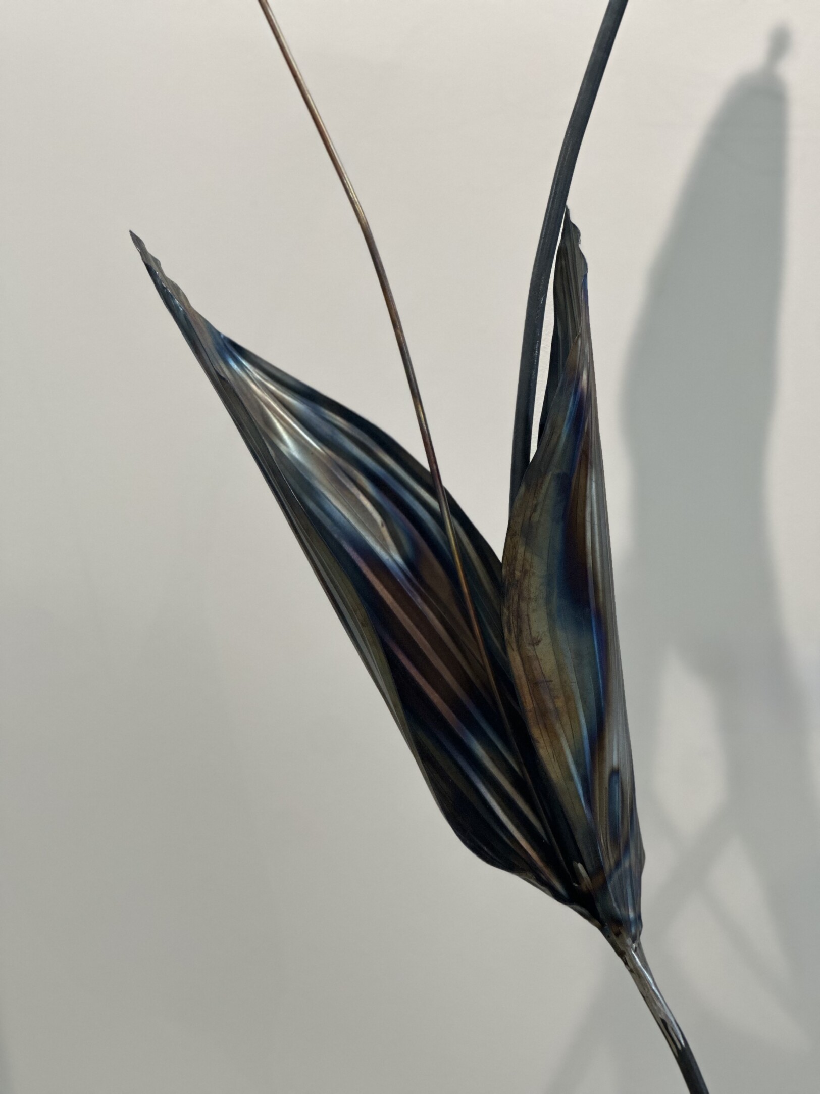 Flame lily gloriosa superba flower metalart made out of metal by artist rachel climo