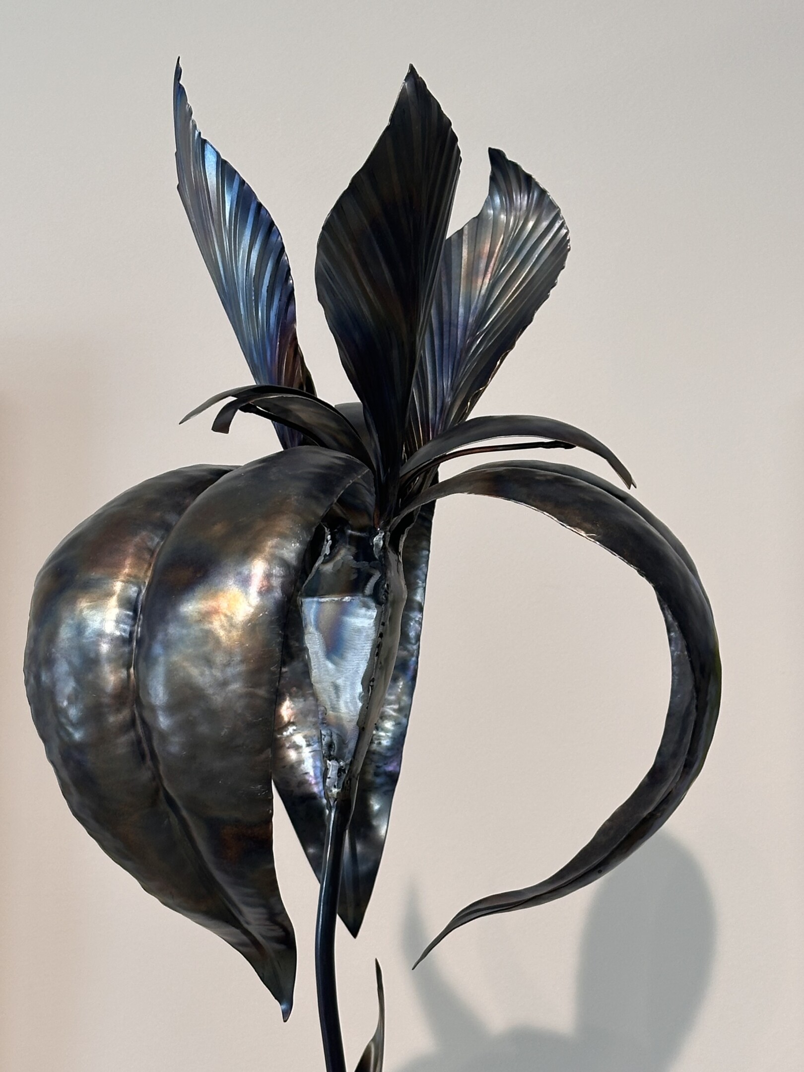 Siberian Iris / Iris siberica flower out of sheet metal made by artist Rachel Climo