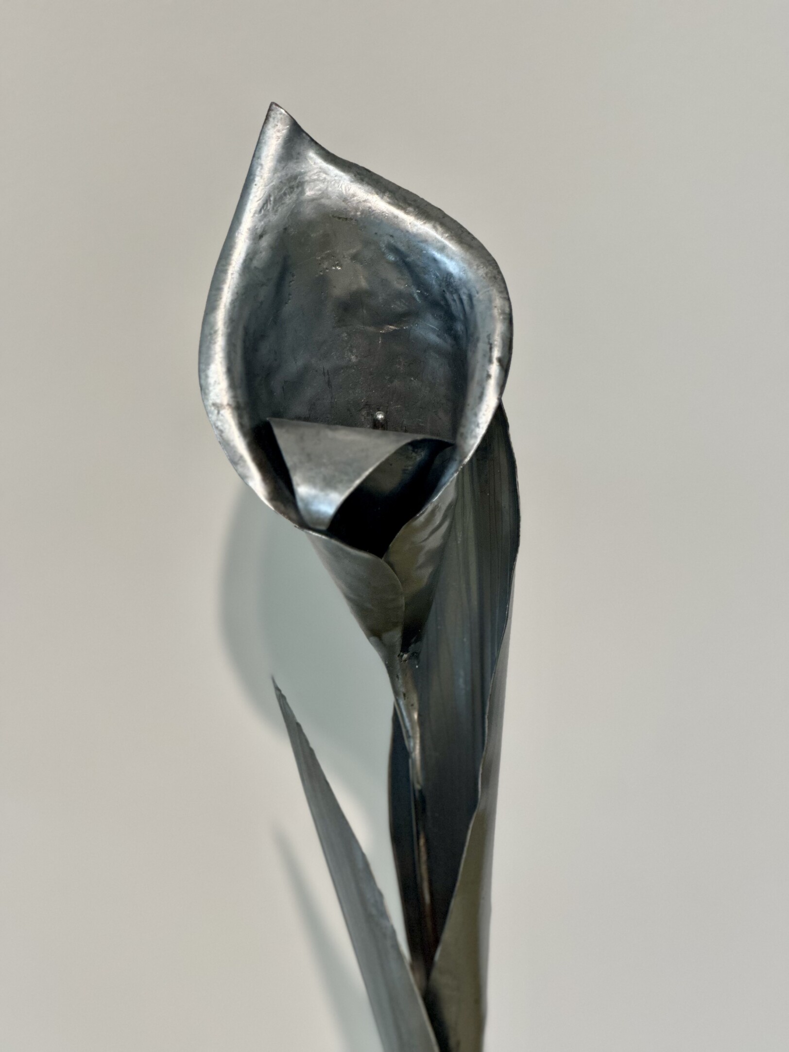 Arum lily / zantedeschia flower made out of metal by artist Rachel climo metalart
