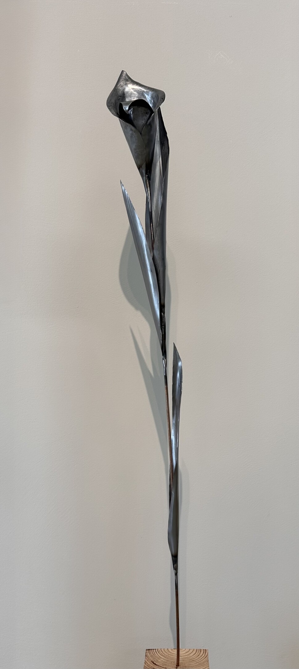 Arum lily / zantedeschia flower made out of metal by artist Rachel climo metalart